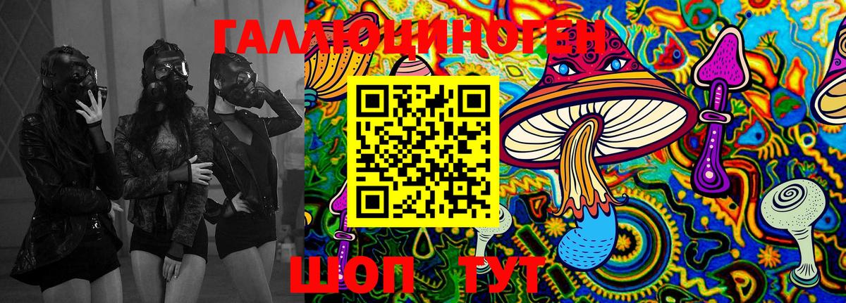 что такое наркотик  Вход с VPN  Полысаево  Псилоцибиновые грибы Psilocybe 